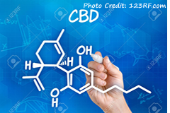 cbd